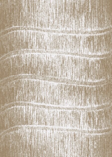 Dywan FD Avanti Tytus Beż