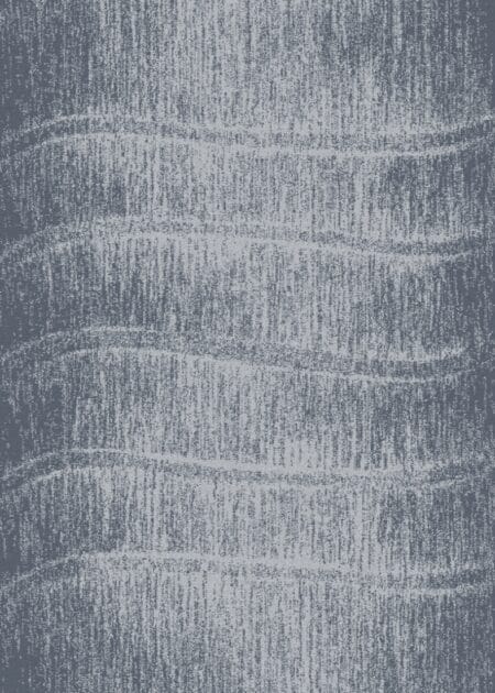 Dywan FD Avanti Tytus Szary